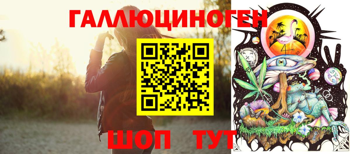 Псилоцибиновые грибы Psilocybine cubensis Кыштым