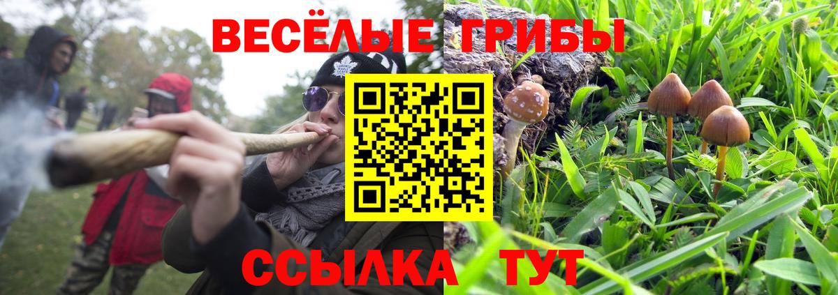Галлюциногенные грибы Magic Shrooms  Псилоцибиновые грибы мицелий  Кыштым  Вход с VPN 