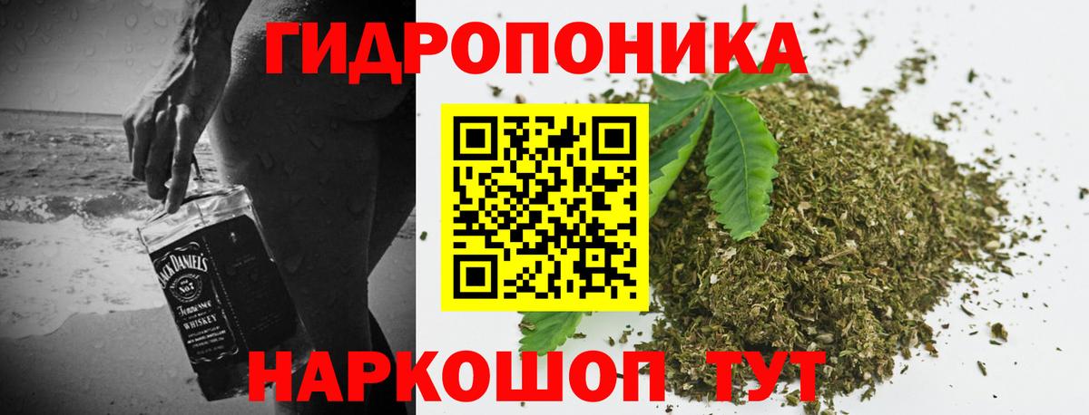 Канабис сатива Кыштым